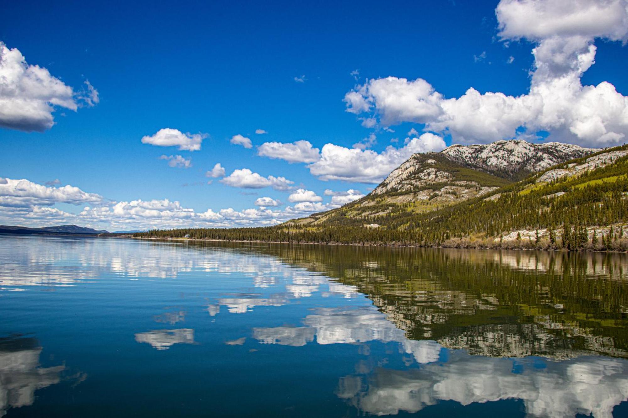 Little Atlin Lodge Tagish Exteriér fotografie