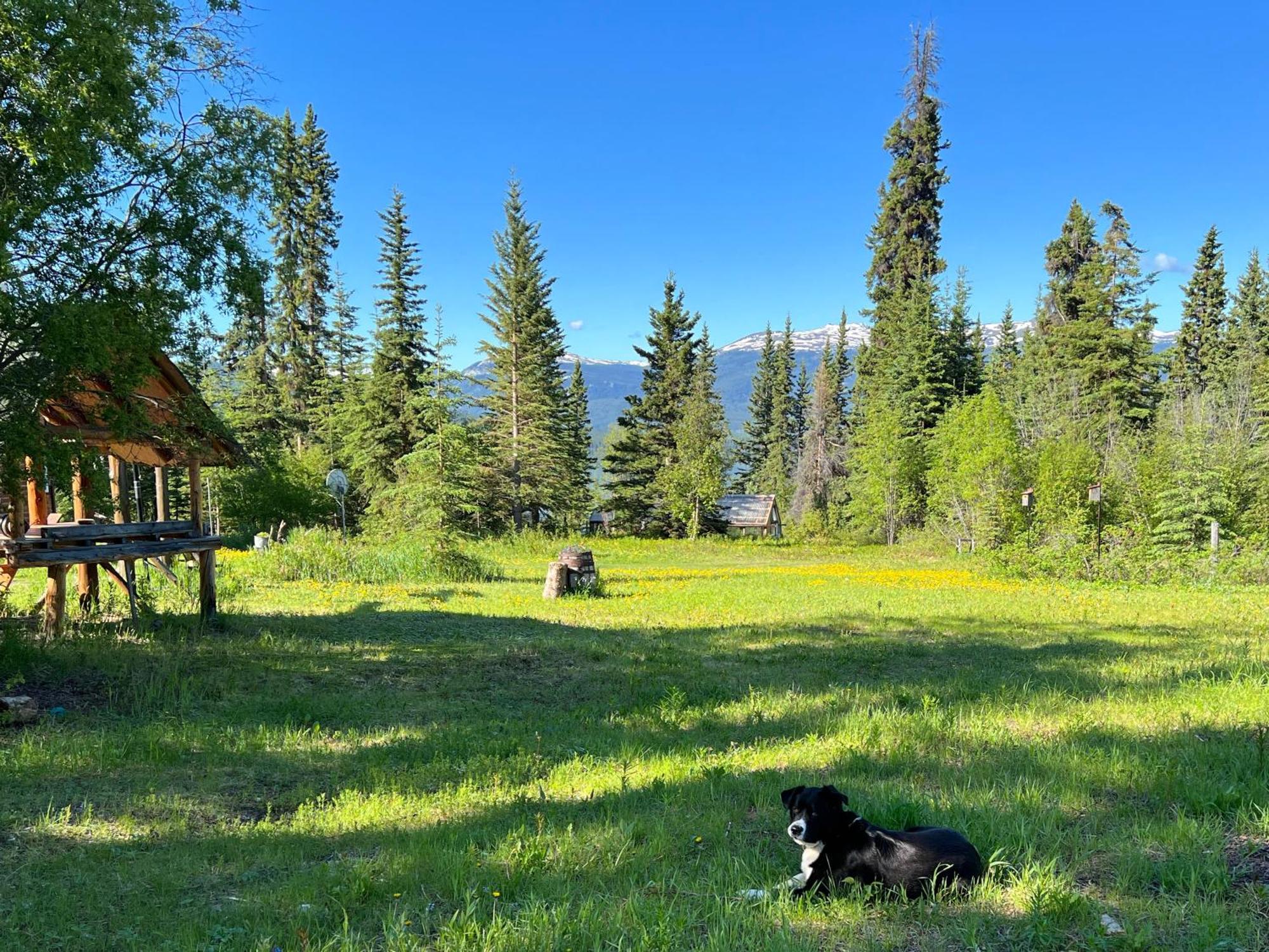 Little Atlin Lodge Tagish Exteriér fotografie